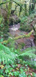 Medical Herbalist, Gloucester